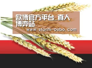 欧博官方平台_真人博弈站