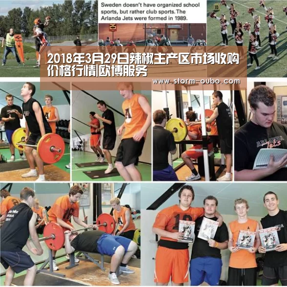 2018年3月29日辣椒主产区市场收购价格行情|欧博服务(图1) 欧博服务