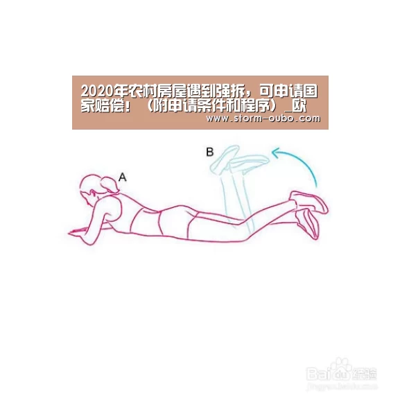 欧博服务