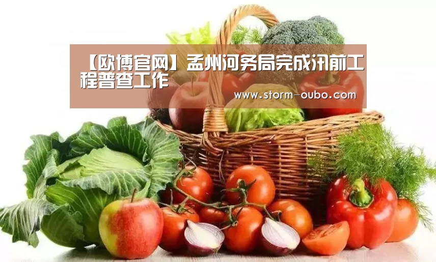 【欧博官网】孟州河务局完成汛前工程普查工作(图3) 欧博官网
