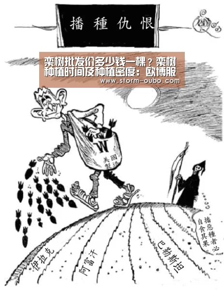 欧博