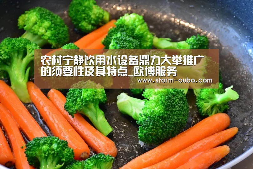 农村宁静饮用水设备鼎力大举推广的须要性及其特点_欧博服务(图2) 欧博服务