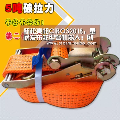 新松亮相CIROS2018,重磅发布蛇型臂机器人:欧博服务(图2) 欧博