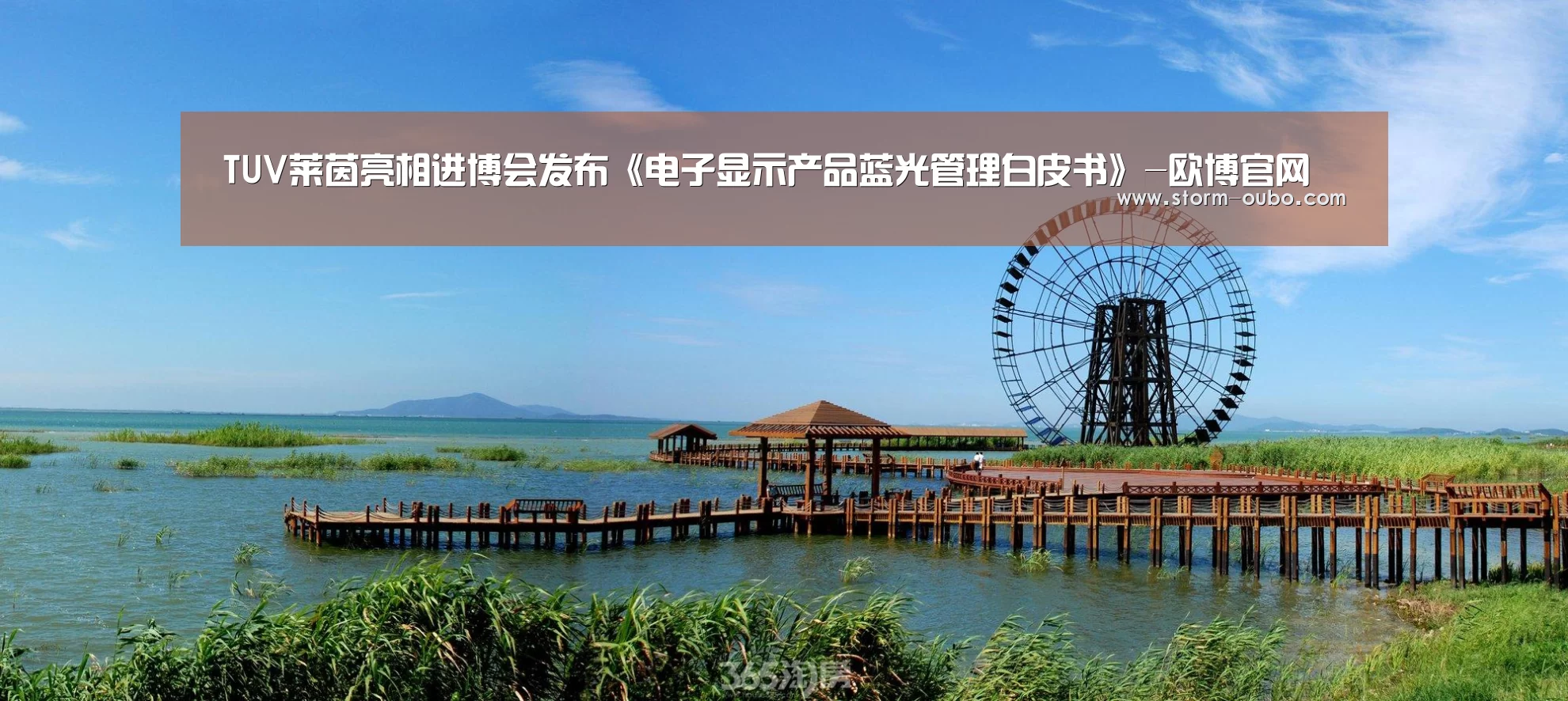 TUV莱茵亮相进博会发布《电子显示产品蓝光管理白皮书》-欧博官网(图2) 欧博官网