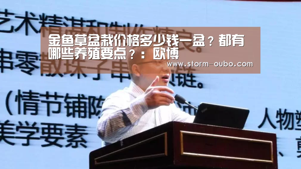 金鱼草盆栽价格多少钱一盆？都有哪些养殖要点？：欧博