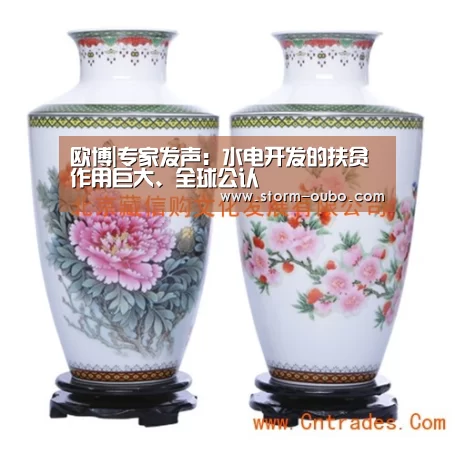 欧博|专家发声:水电开发的扶贫作用巨大、全球公认(图3) 欧博服务