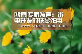 欧博|专家发声:水电开发的扶贫作用巨大、全球公认(图2) 欧博