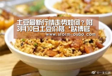 欧博
