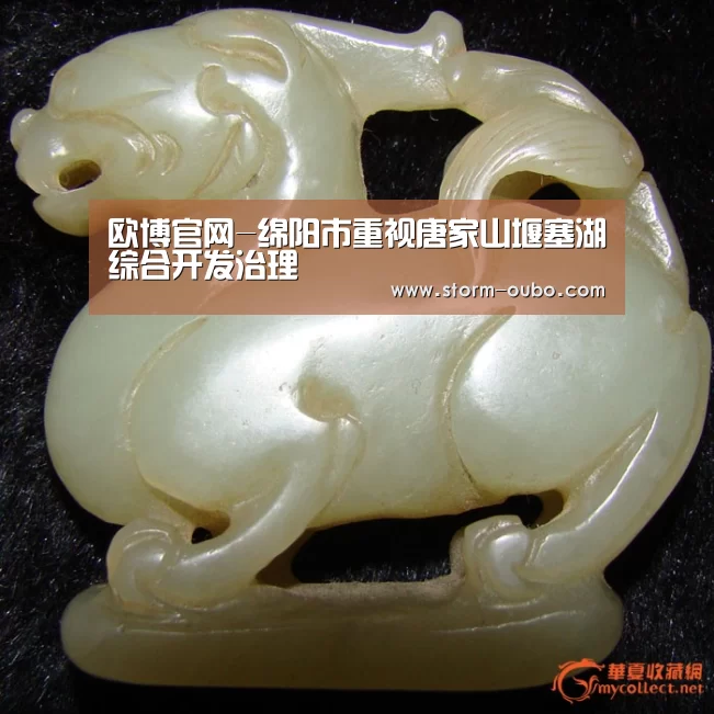 欧博官网-绵阳市重视唐家山堰塞湖综合开发治理(图4) 欧博